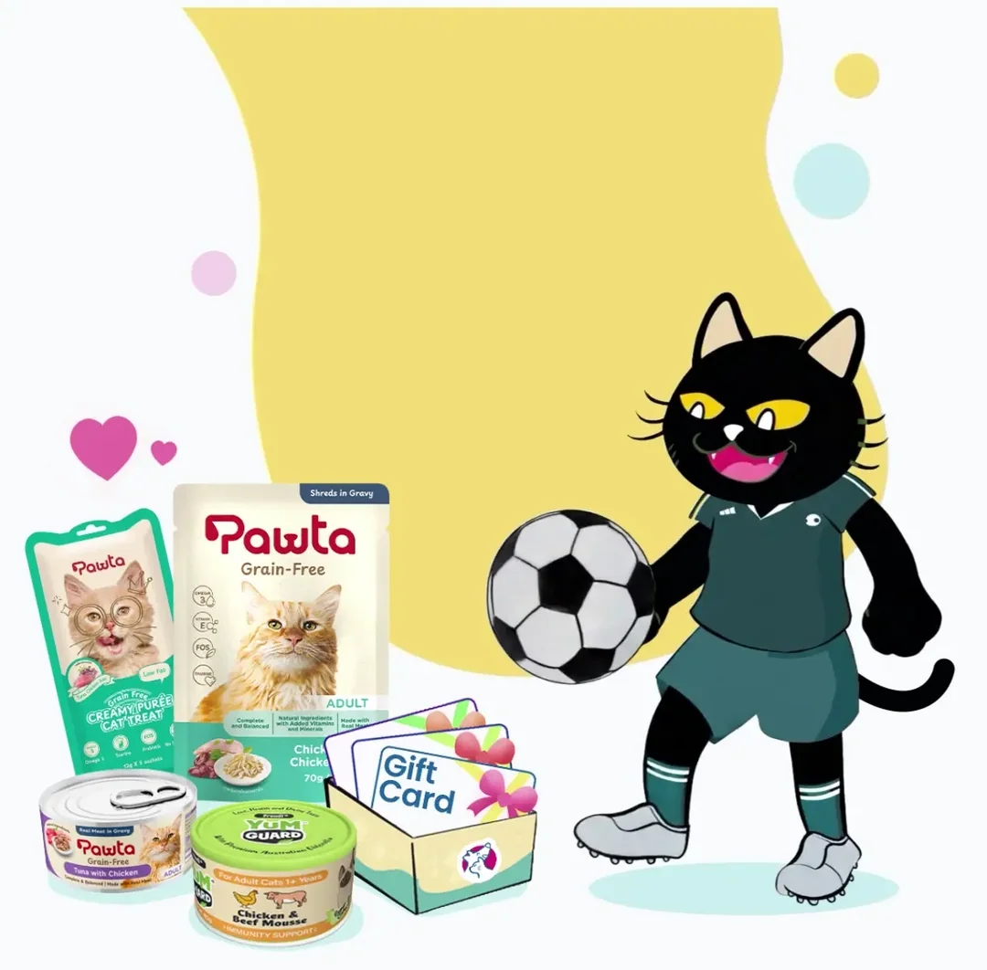 Pamper Your Pets with Petite